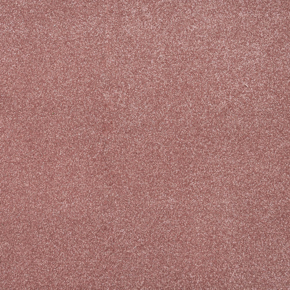 Pink Whisper Stainfree Caress Carpet by Abingdon - Image 7