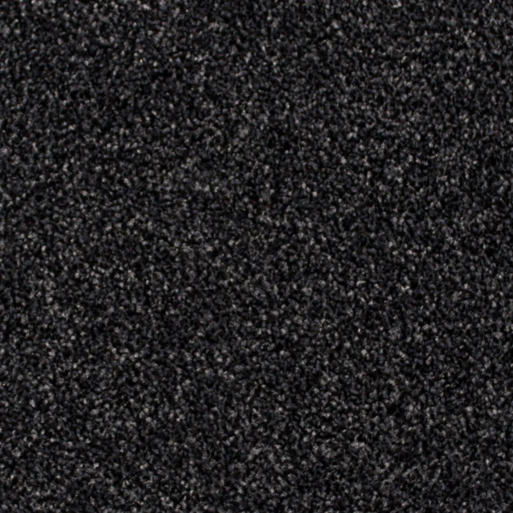 Platinum 99 Everest Twist Carpet