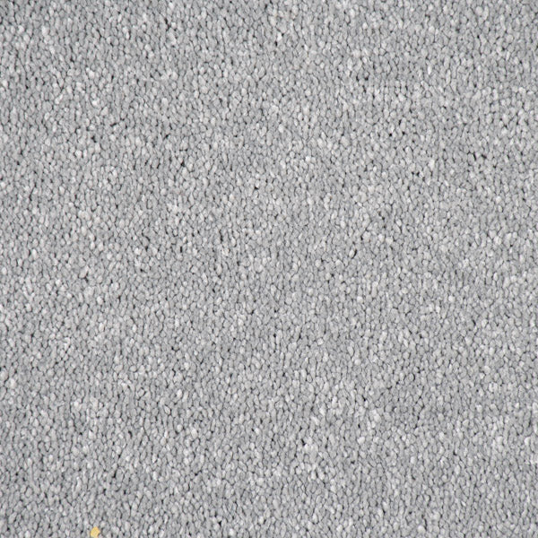 Platinum Stainfree Caress Carpet by Abingdon - Image 3