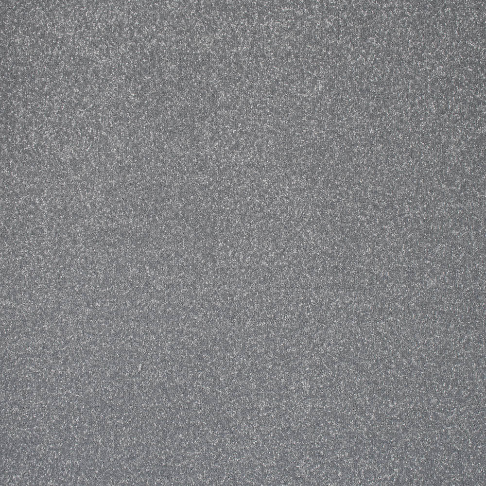 Platinum Stainfree Ultra Carpet by Abingdon - Image 2