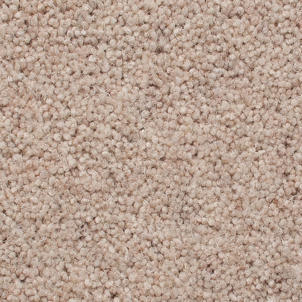 Porcelain 50oz Home Counties Heathers Carpet by Cormar - Image 2