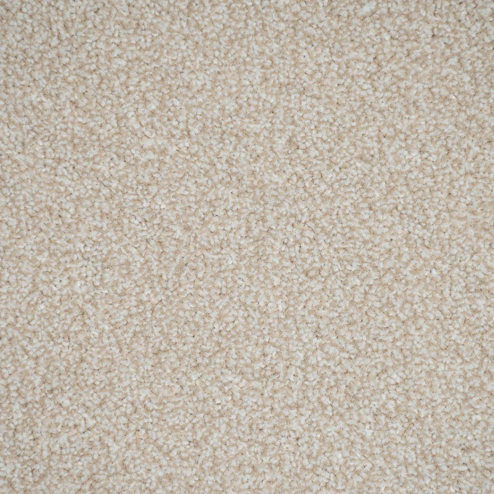 Powder Stainfree Ultra Carpet by Abingdon - Image 3