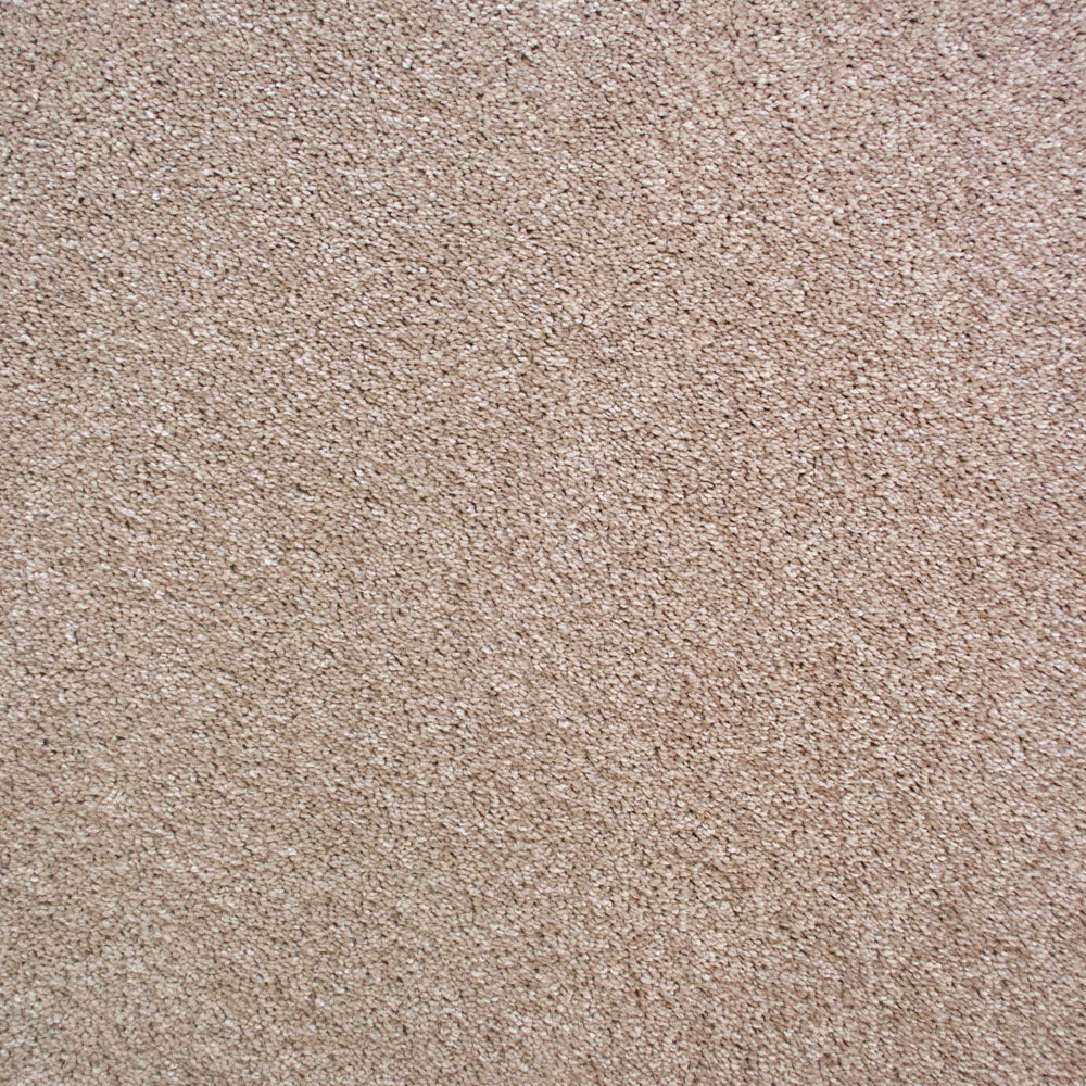 Prada 39 Scorpius Invictus Carpet - Image 5
