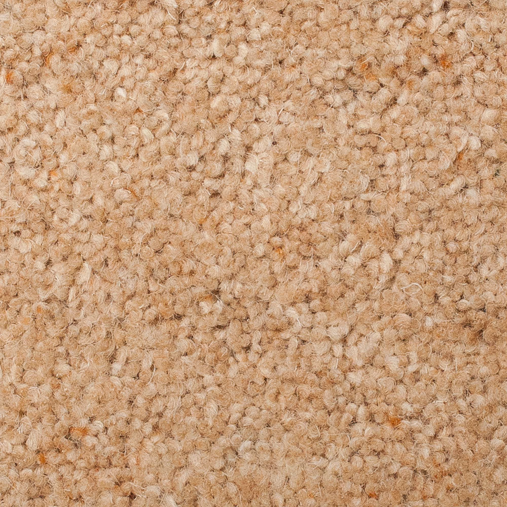 Prestige Twist 37oz Carpet - Image 4