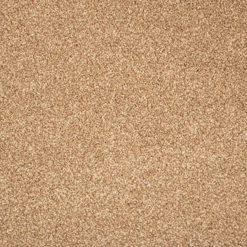 Primo Delight Carpet by Cormar - Image 10