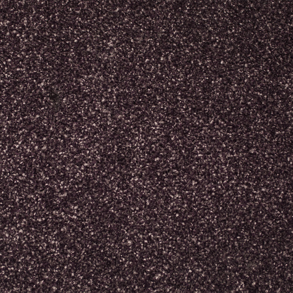 Primo Delight Carpet by Cormar - Image 14