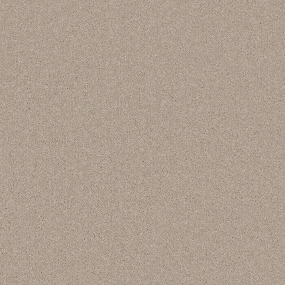 Primo Plus Carpet by Cormar - Image 2