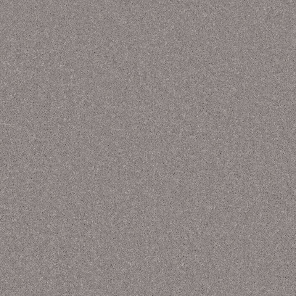 Primo Plus Carpet by Cormar - Image 6