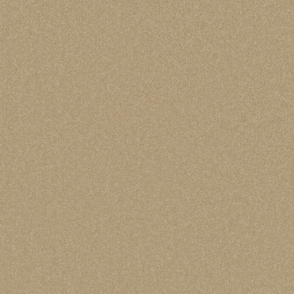 Primo Plus Carpet by Cormar - Image 7