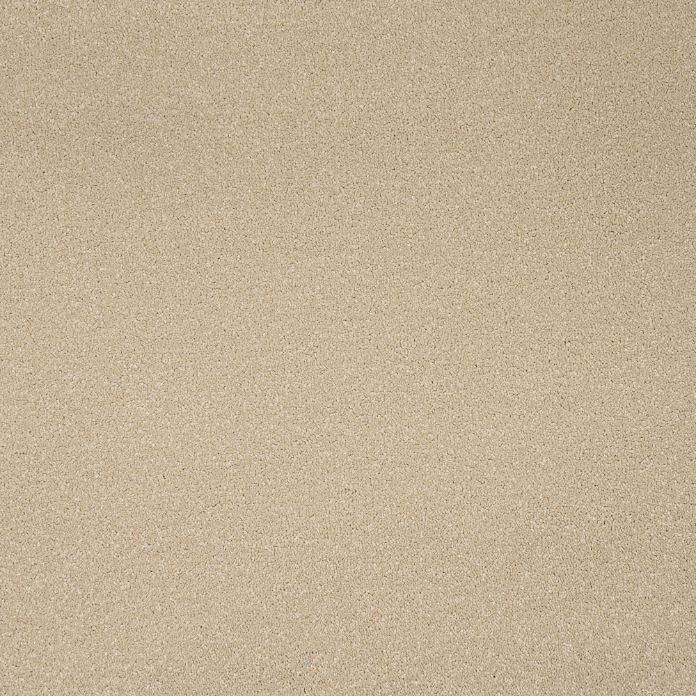 Primo Plus Carpet by Cormar - Image 8