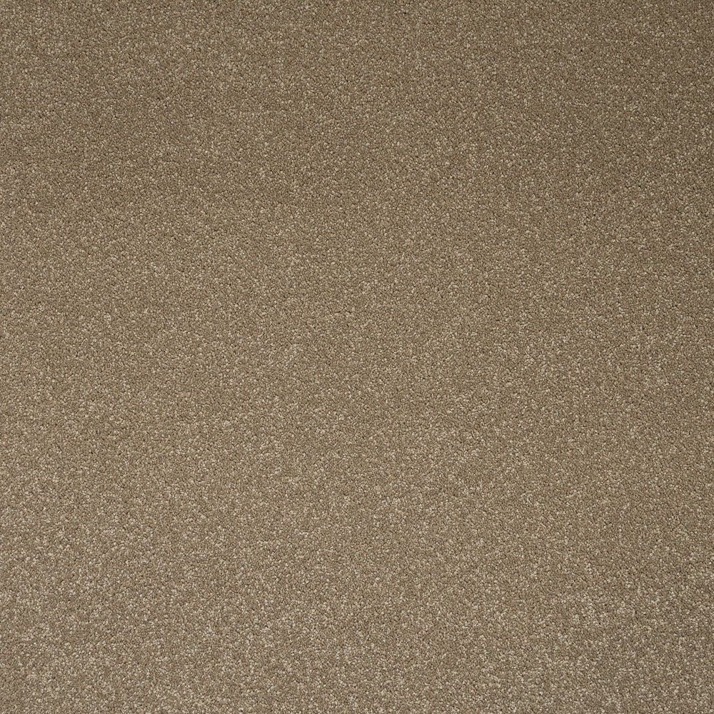 Primo Plus Carpet by Cormar - Image 9