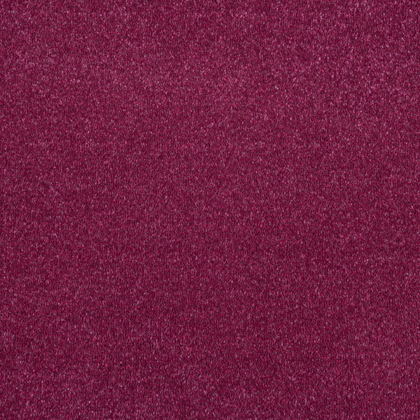 Purple Lakeland Luxury Saxony Carpet - Image 5