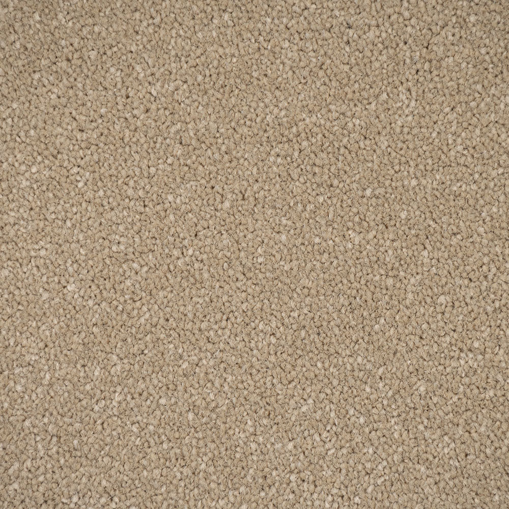 Putty Primo Plus Carpet by Cormar - Image 3