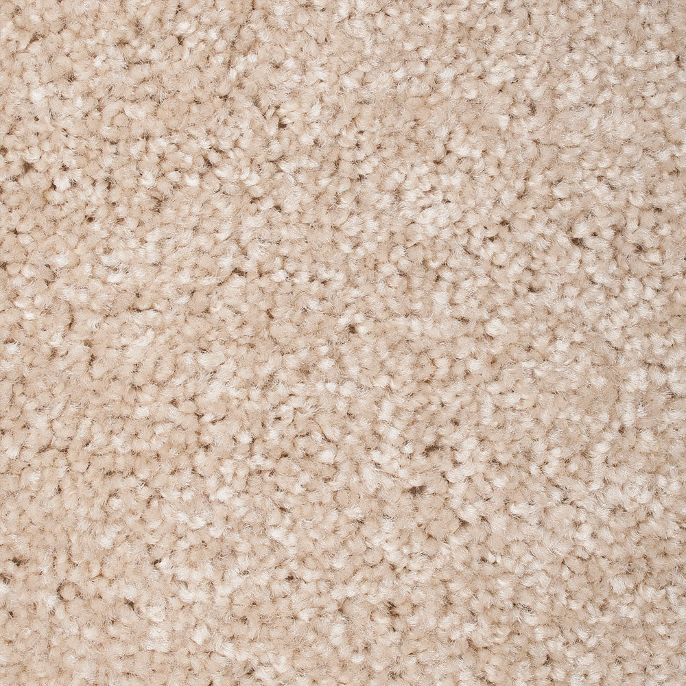 Kapa Carpet - Image 5