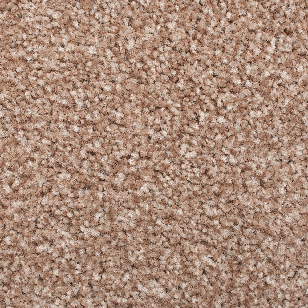 Kapa Carpet - Image 6