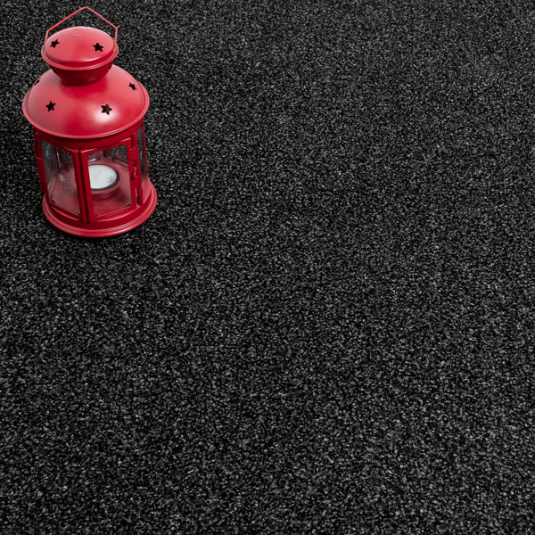 Raven Avalon Saxony Actionback Carpet