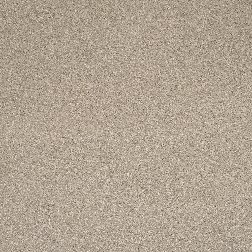 Resin Primo Plus Carpet by Cormar - Image 2