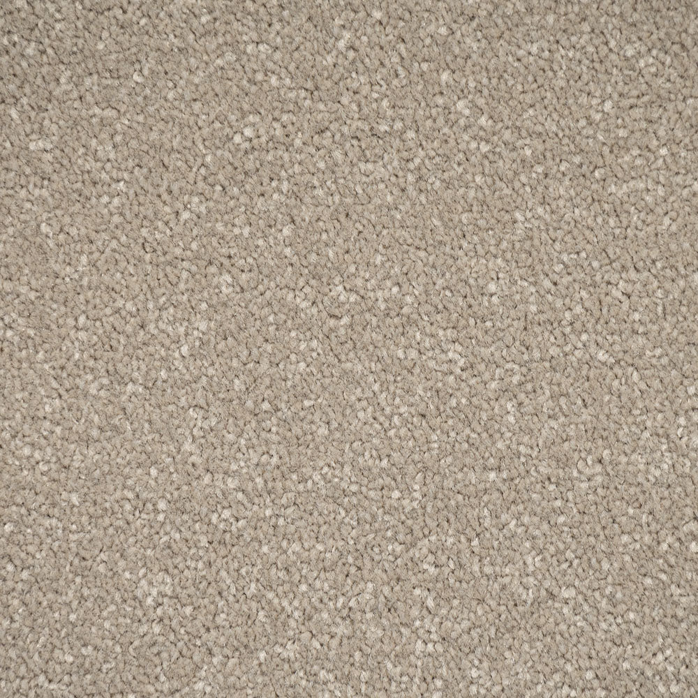 Resin Primo Plus Carpet by Cormar - Image 3