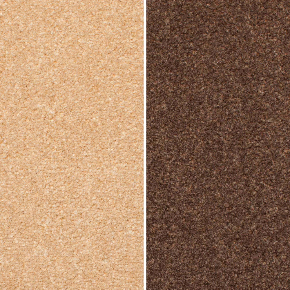 Revolution Carpet