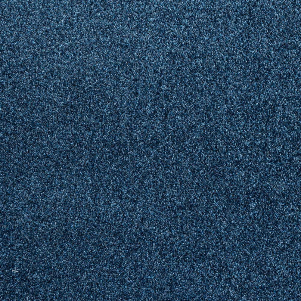 Royal Blue Louisiana Saxony Carpet - Image 2