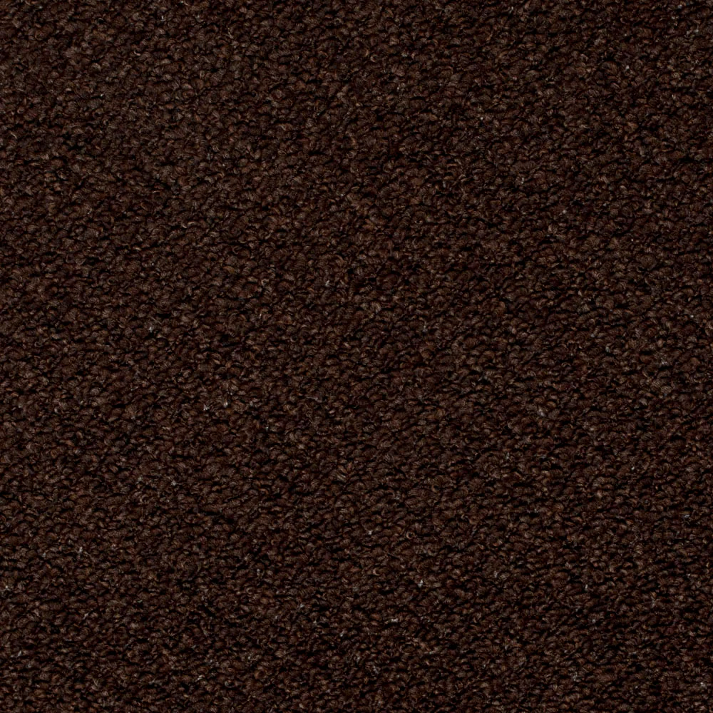 Chocolate Brown Royal Loop Carpet