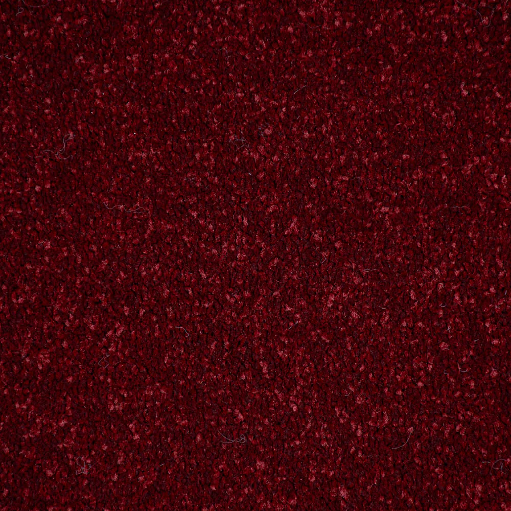 Ruby Stainfree Ultra Carpet by Abingdon - Image 3
