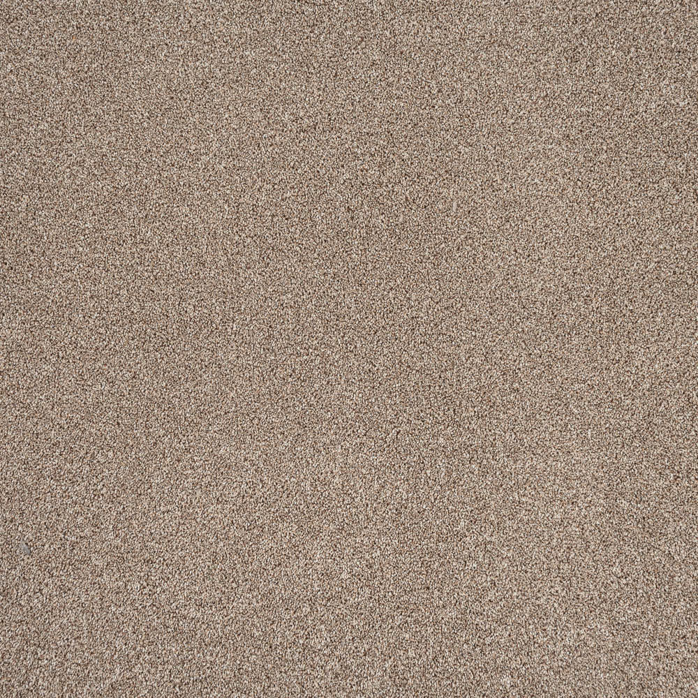 Rustic Charm 04 Stainfree Rustique Saxony Carpet by Abingdon - Image 5