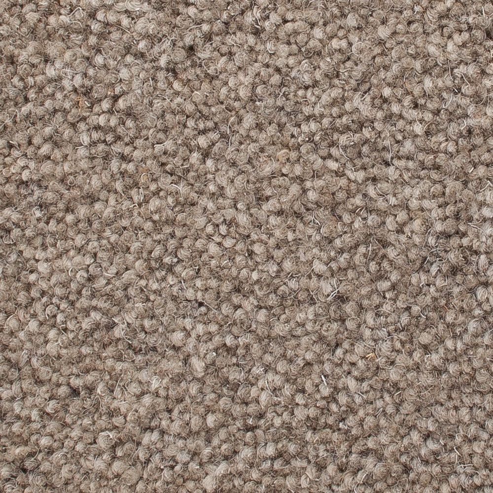 Rutland Elm 50oz Home Counties Heathers Carpet by Cormar - Image 2