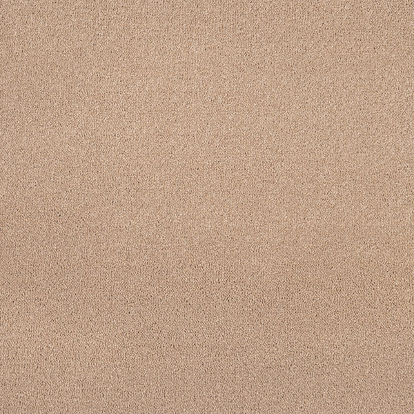 Sable 91 Revolution Supreme Twist Carpet - Image 2
