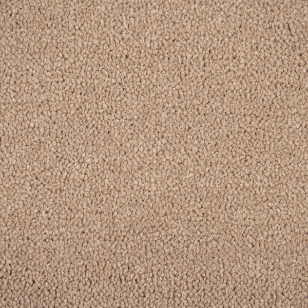 Sable 91 Revolution Supreme Twist Carpet - Image 3