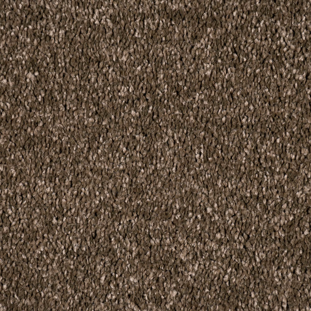 Sable Brown Alhambra Saxony Carpet - Image 3