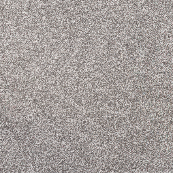 Sable Coast Twist Carpet Clearance - Image 2