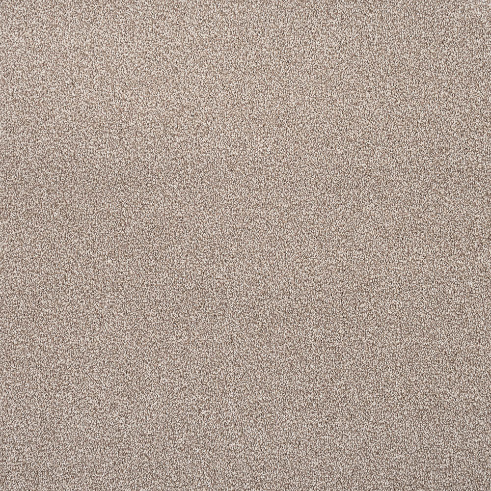 Sable Sensation Heathers 60oz Carpet by Cormar - Image 5