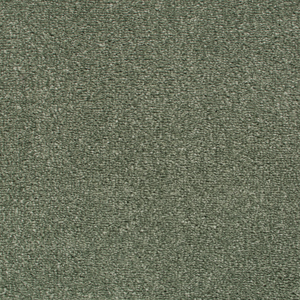 Sage 42 Revolution Soft Heathers Intenza Carpet