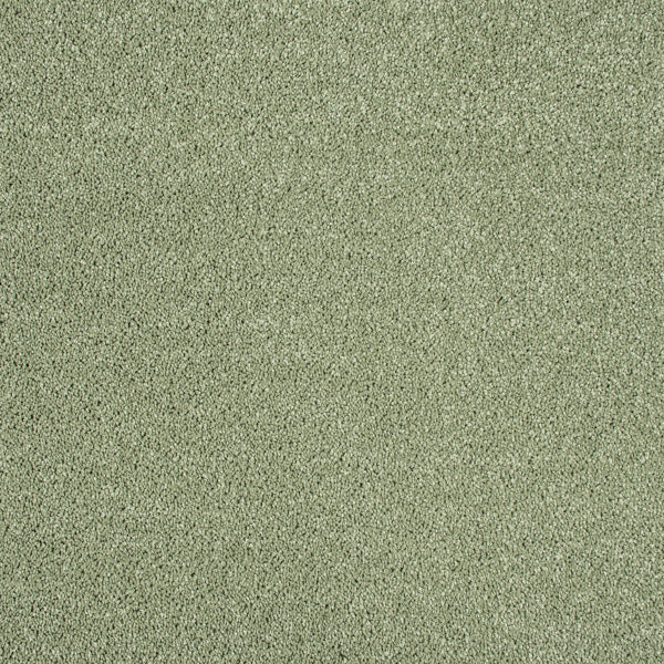 Sage Green 440 Carousel Twist Carpet - Image 5