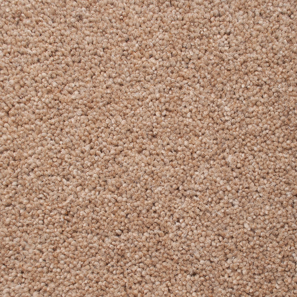 Sandpiper 50oz Home Counties Heathers Carpet - Sample