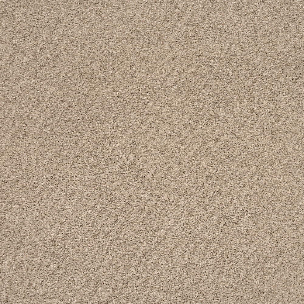 Sandstone 37 Aries Invictus Carpet - Image 3