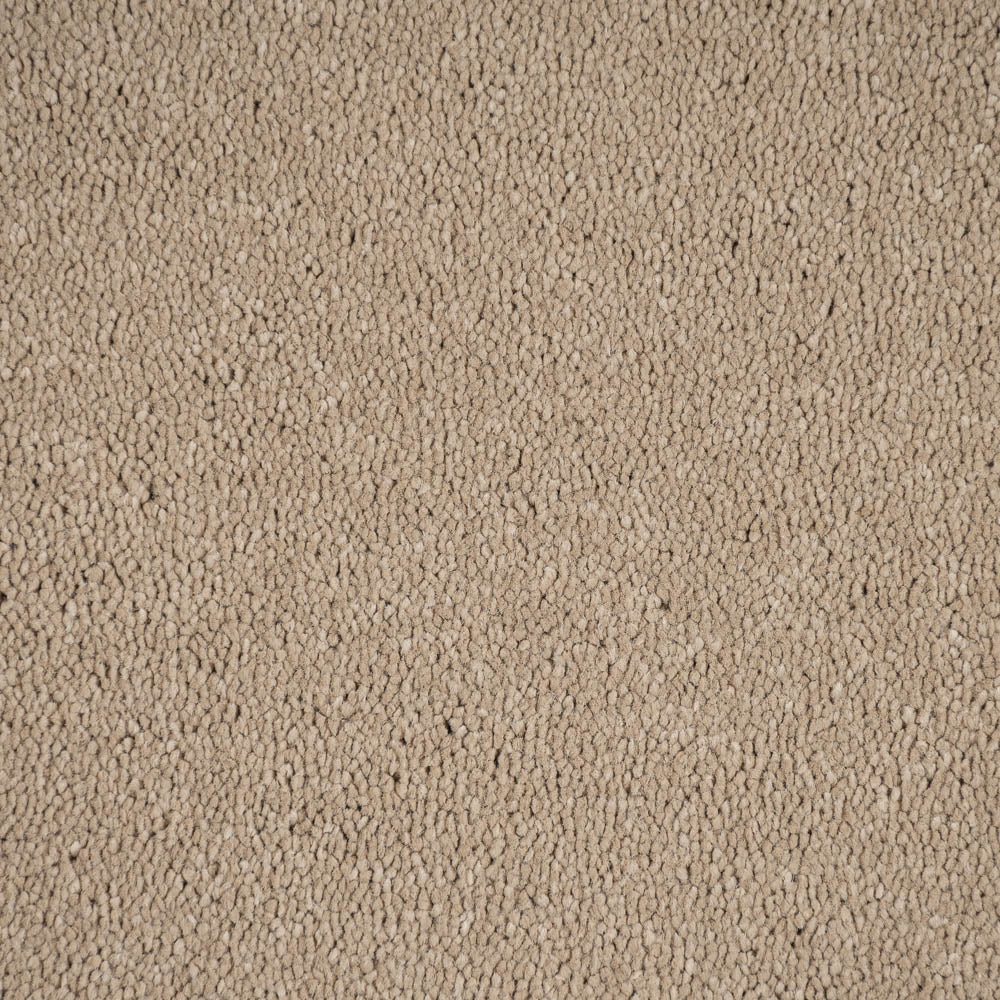 Sandstone 37 Aries Invictus Carpet - Image 4