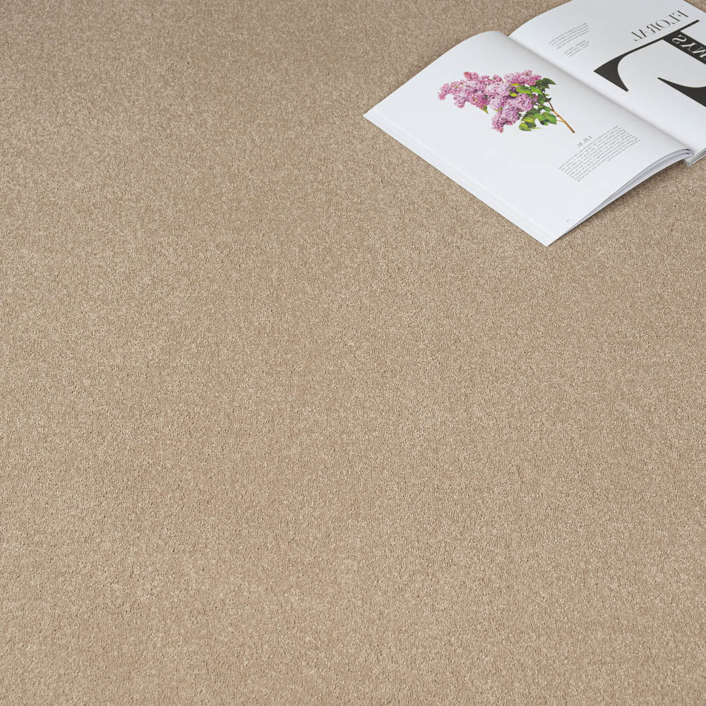 Sandstone 37 Taurus Invictus Carpet - Image 2