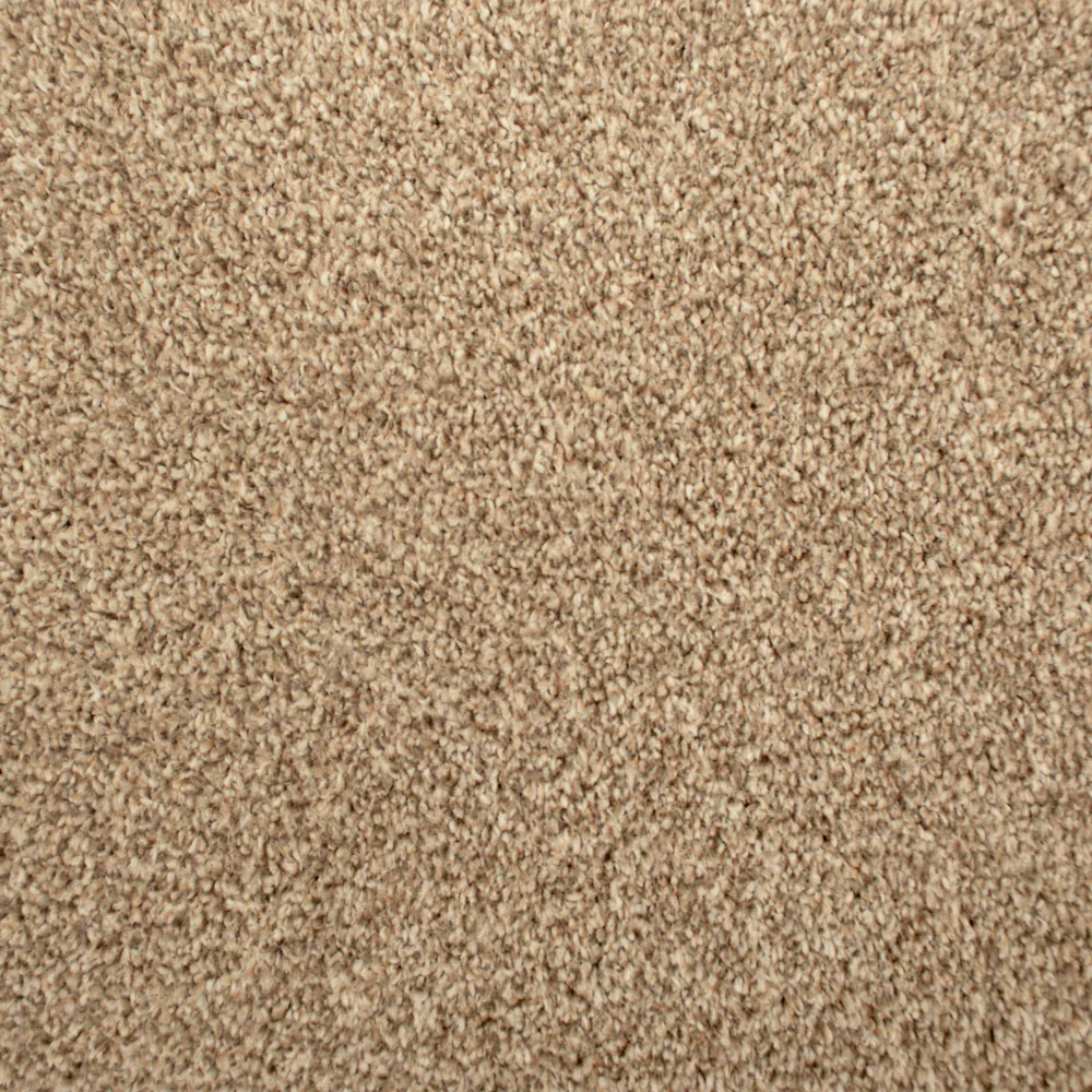 Sandstone 715 Noble Heathers Saxony Carpet - Image 4
