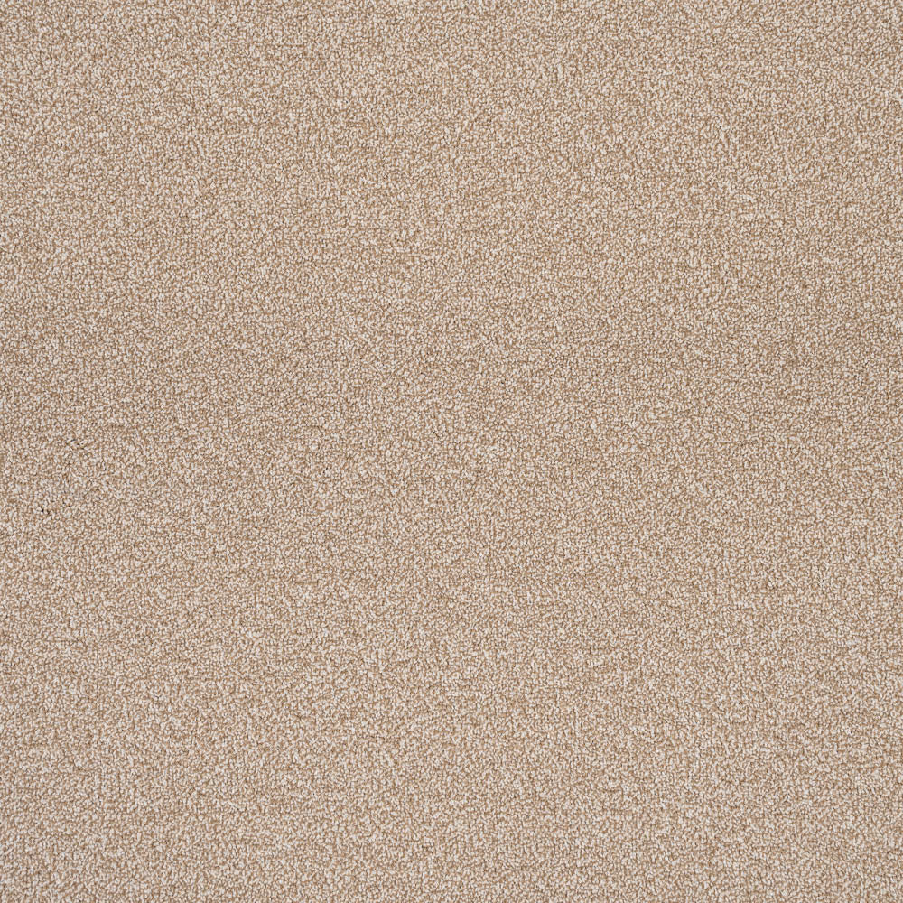 Sandstone 72 Birma Saxony Carpet - Image 5