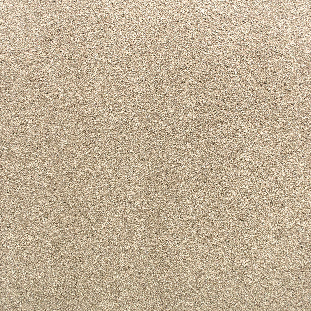 Sandstone 73 Premium Carpet - Image 4