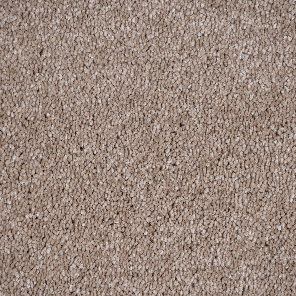 Sandy Beach 32 Sirius 70oz Invictus Carpet - Image 4