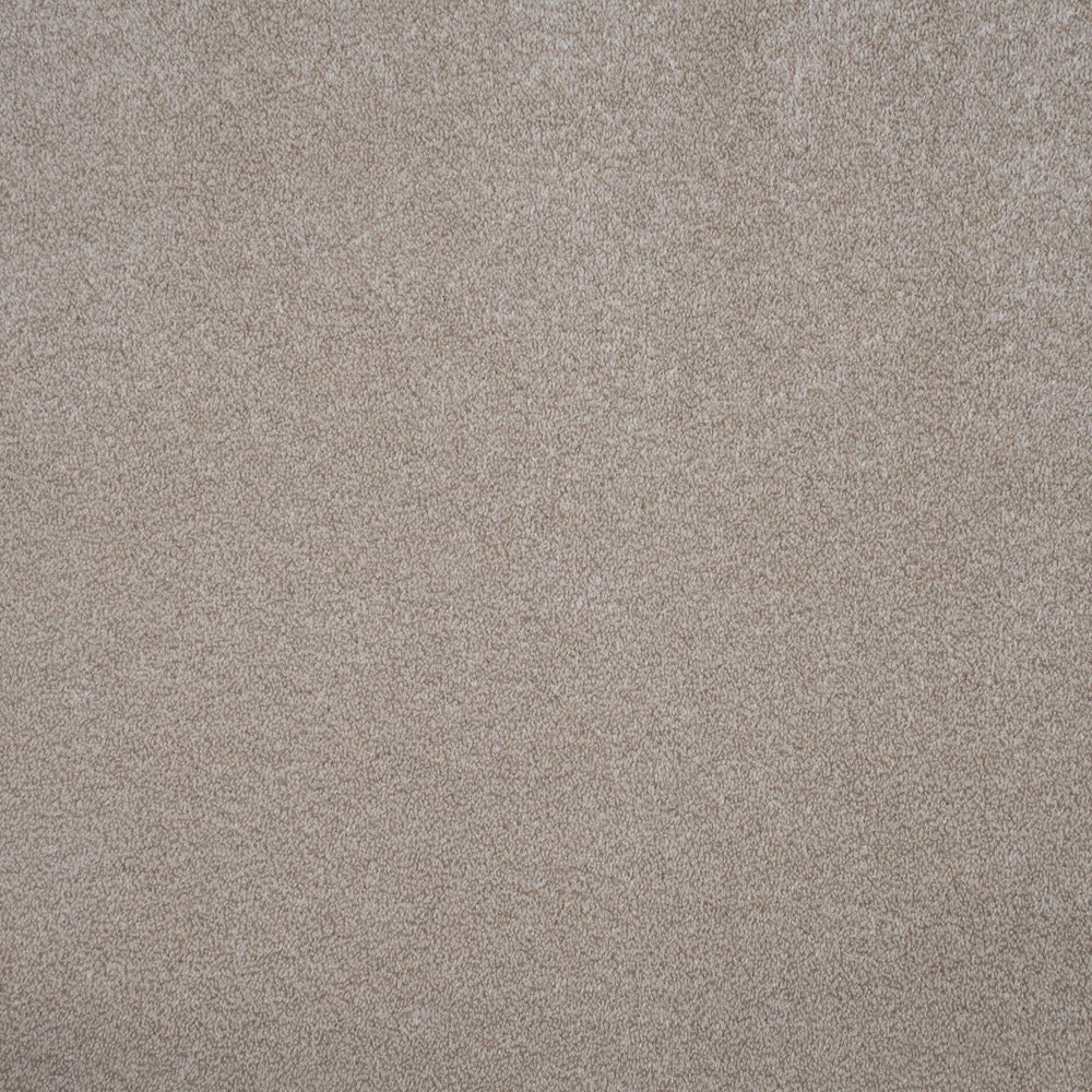 Haven Saxony Premium Feltback Carpet - Image 4