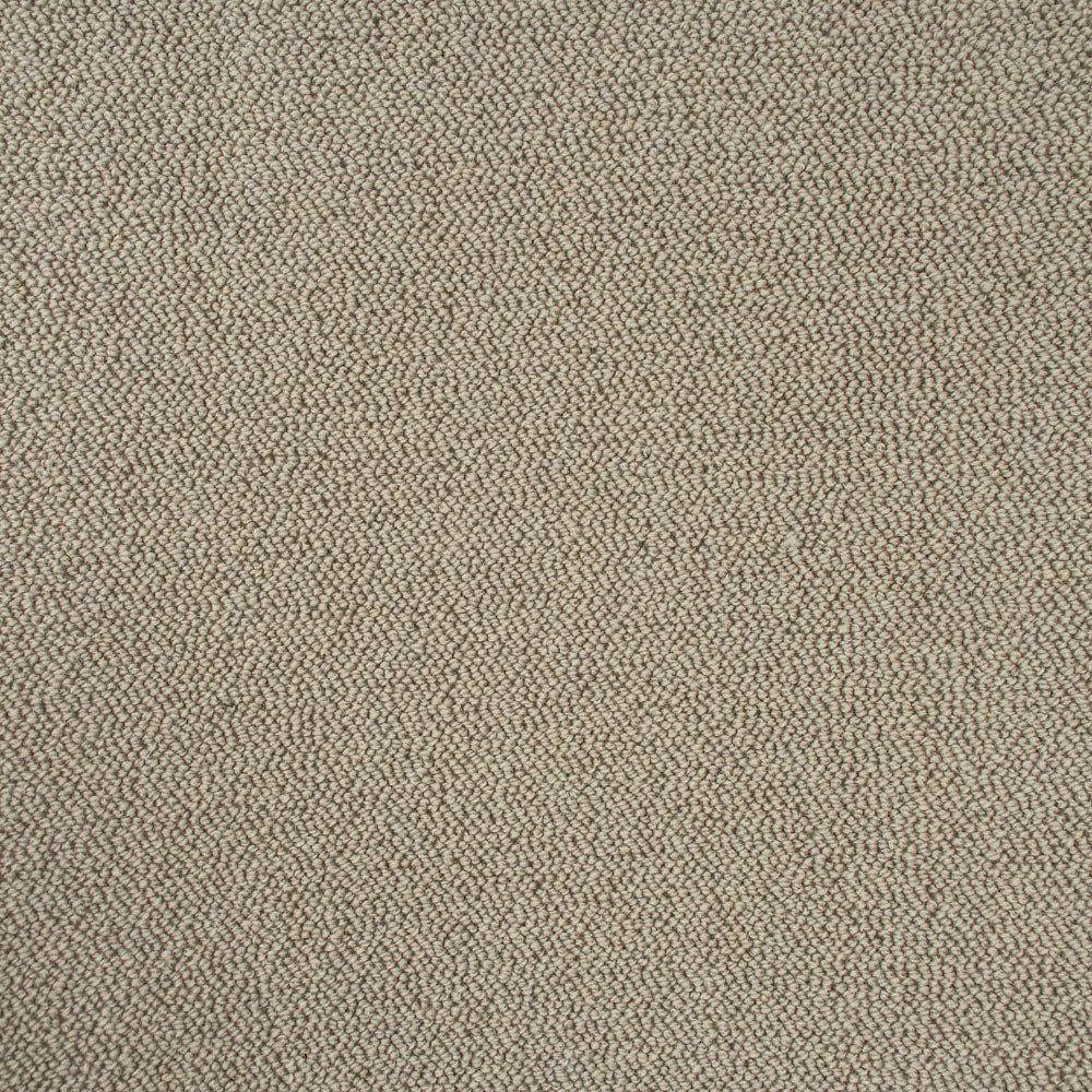 Sandy Beige Illinois Loop Carpet