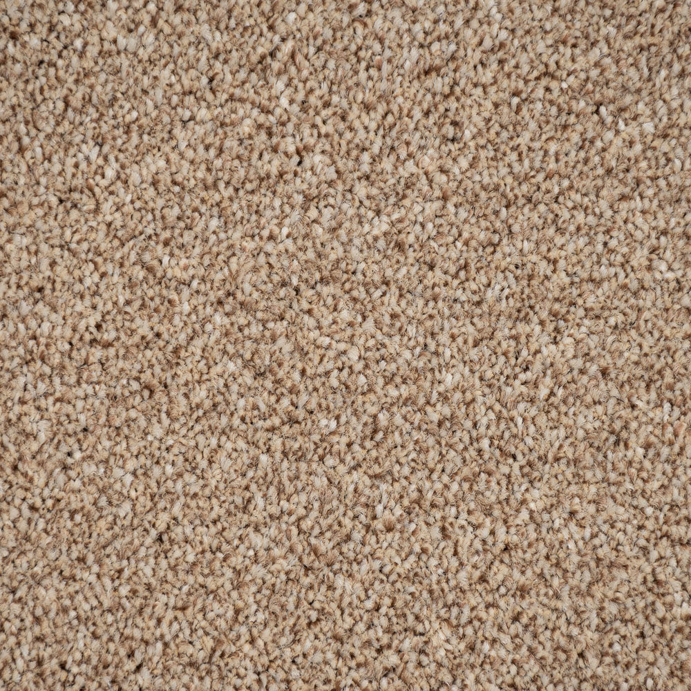 Sandy Beige 53 Pisa Saxony Carpet - Image 3