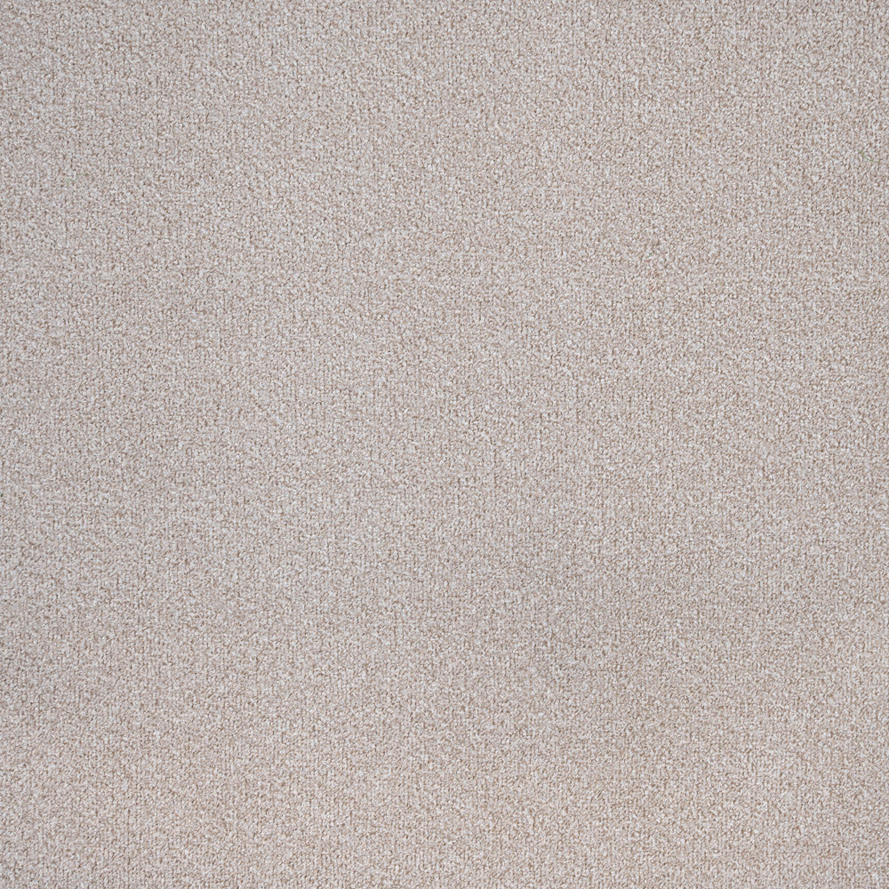 Sandy Beige Star Twist Carpet - Image 5