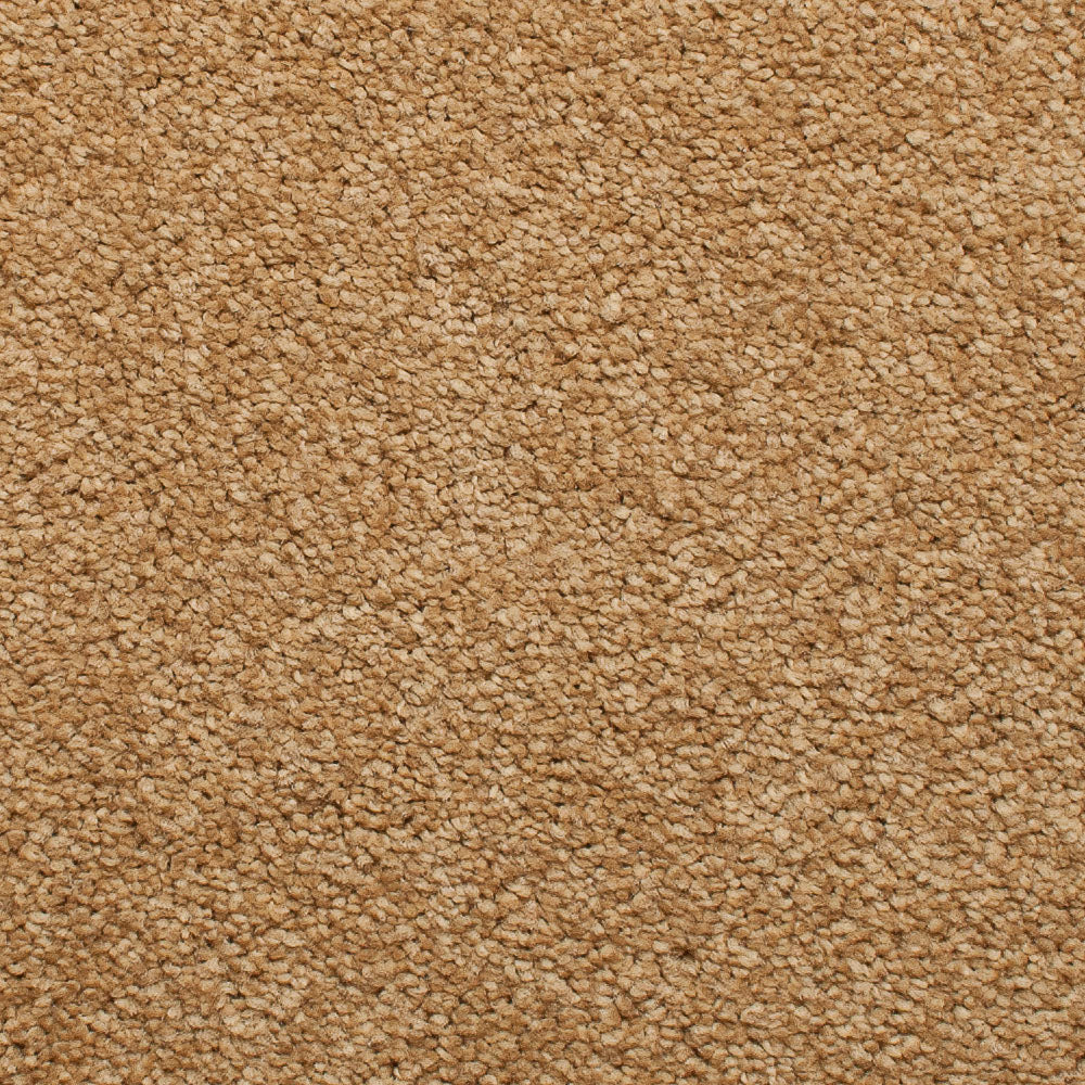 Satisfaction Regency Carpet - Image 11