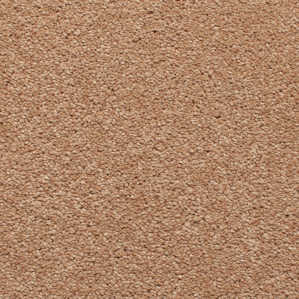 Satisfaction Regency Carpet - Image 13