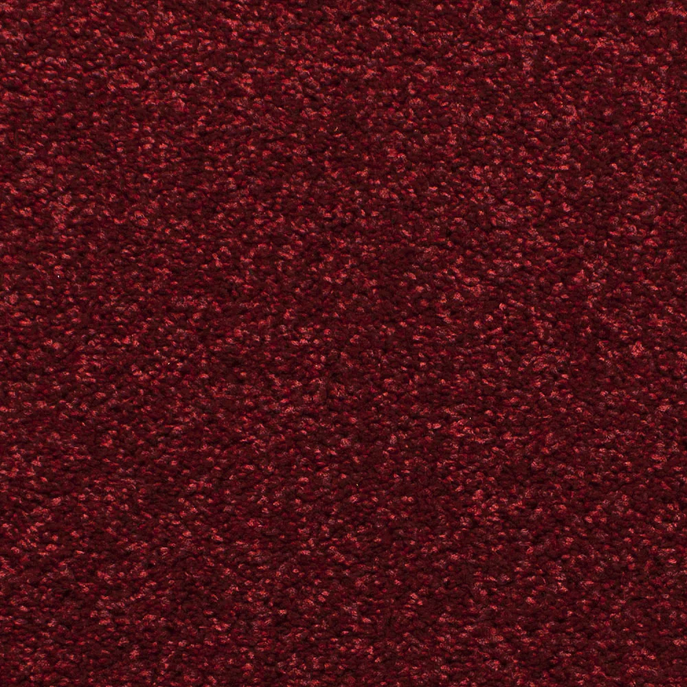 Satisfaction Regency Carpet - Image 4